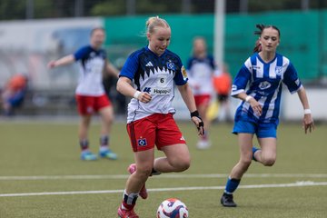 Bild 327 - wBJ Hamburger SV - FC Suederelbe : Ergebnis: 9:0